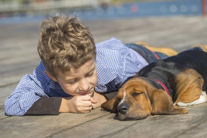 Alamo Water Softeners loves the San Antonio Humane Society - Dog and Boy